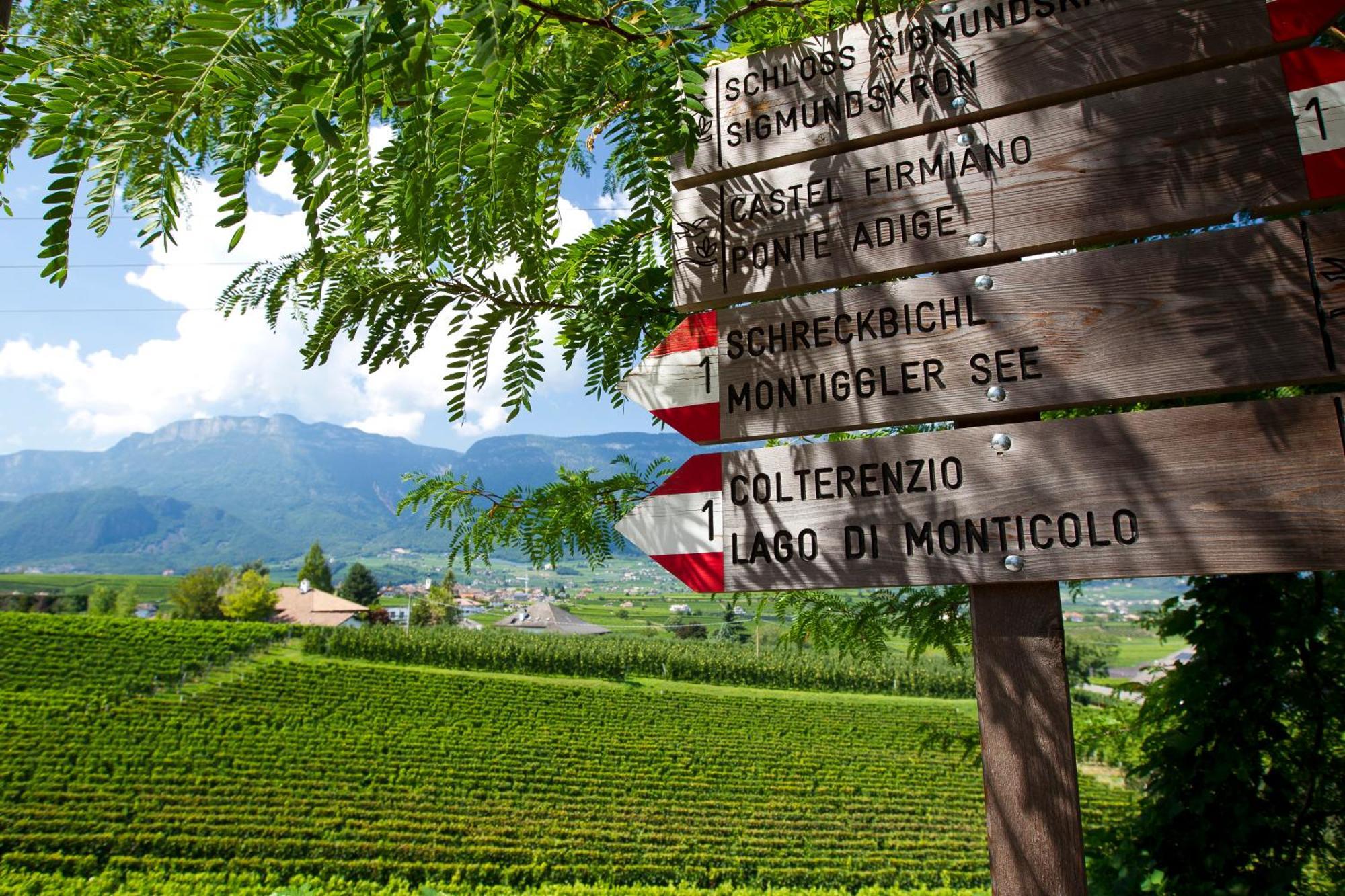 Belia Lofts - Adults Only - Apartments Eppan an der Weinstraße Buitenkant foto